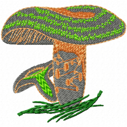 Mushroom Embroidery Design 8 Mushroom Embroidery Design 8